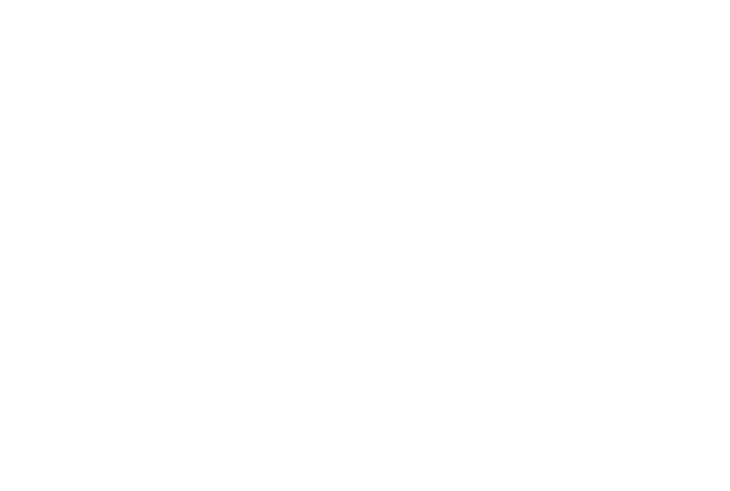 WNT Logo White